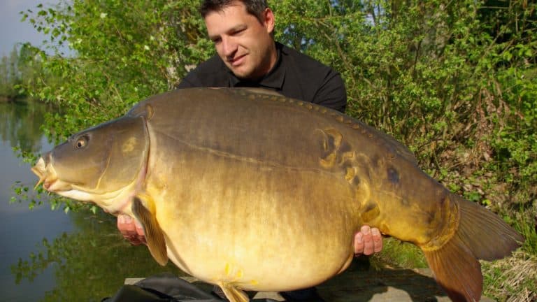Why Is Carp Fishing Popular In Europe
