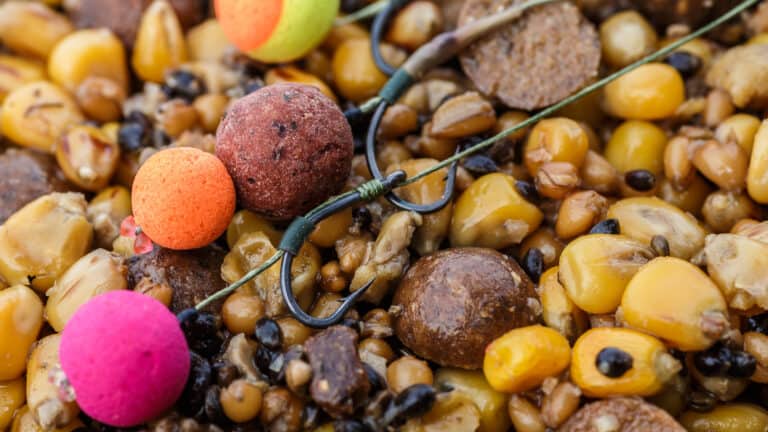 Best Boilies For Carp Fishing 2023: Top Performers