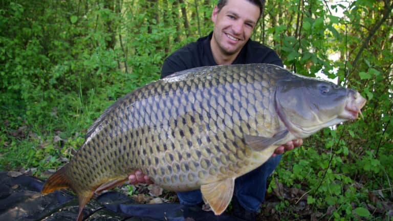 Is Sweetcorn A Good Fishing Bait – Explained