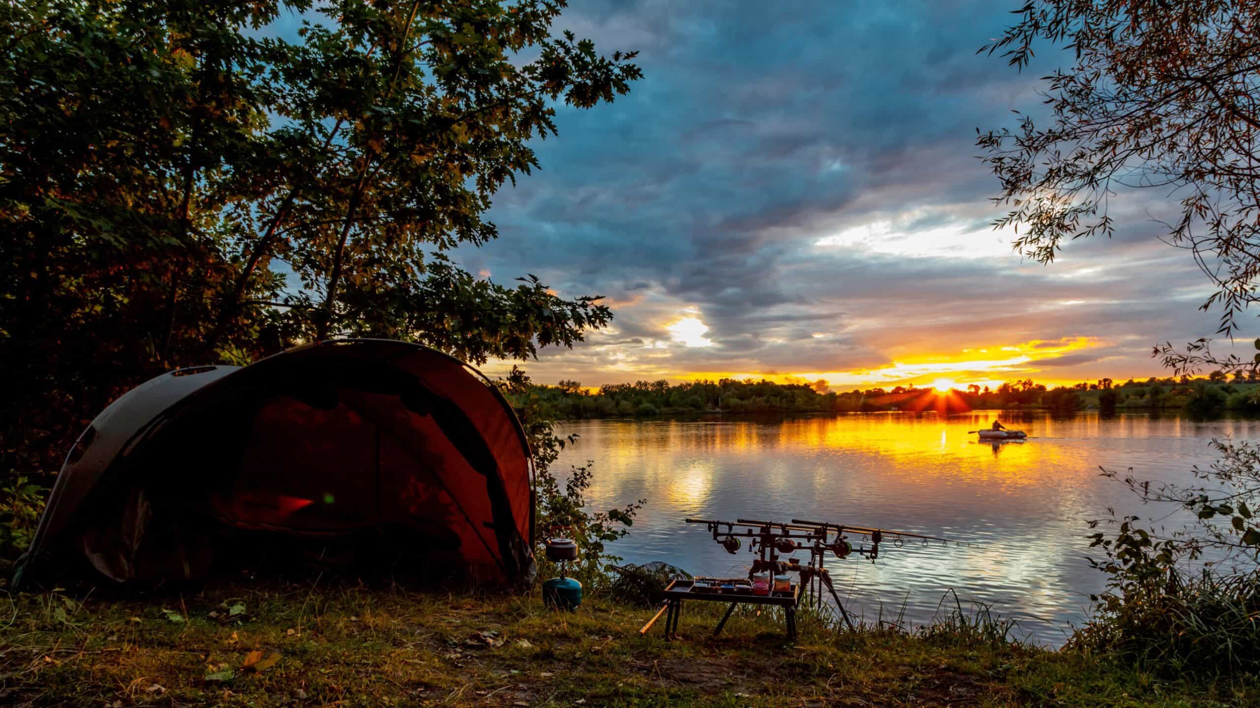 Best Time To Go Carp Fishing Seasonal Breakdown