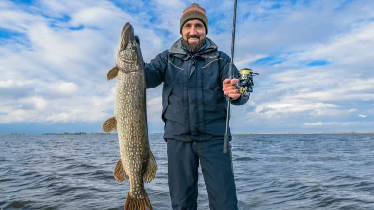 Best Pike Fishing Reels 2023: 6 Brilliant Pike Reels