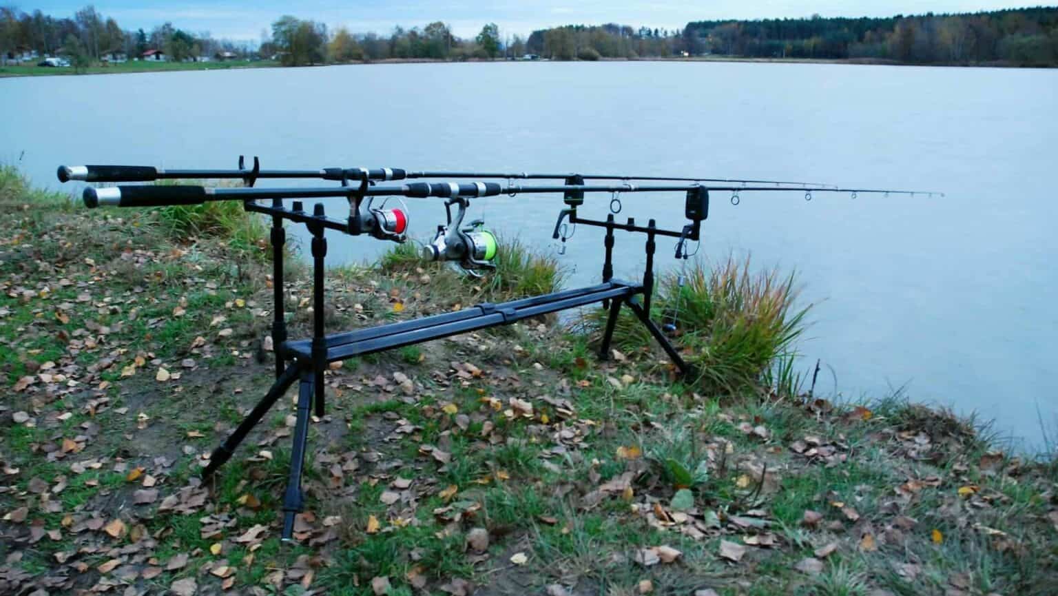 Best Carp Rods 2024: A Buyer's Guide