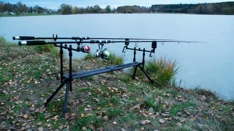Best Carp Rods 2024: A Buyer’s Guide
